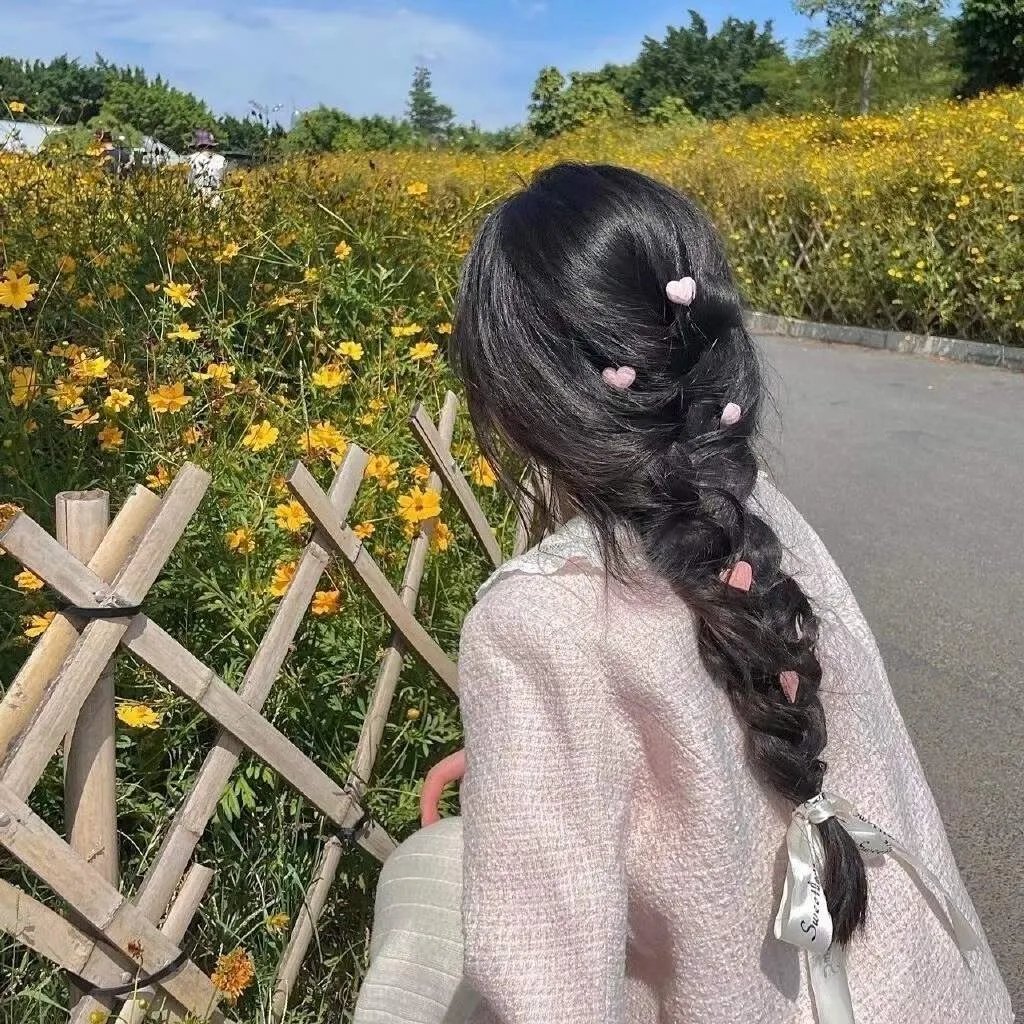 燕尾蝶 在线观看封面